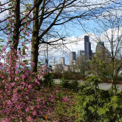 photo of Lewis Park at 1417 East Spring Street Seattle WA 98122