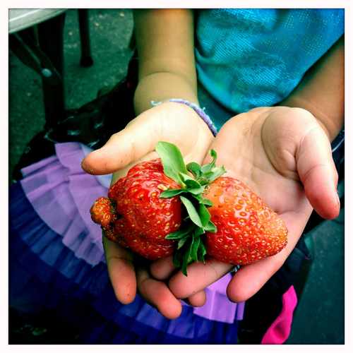 photo of Hollywood Farmers Market at 4448 Northeast Hancock Street Portland OR 97213