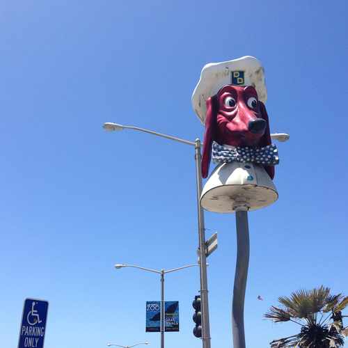 photo of Weird Dog Head at 2798 Sloat Blvd San Francisco CA 94116
