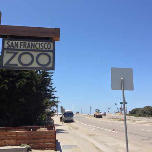 photo of San Francisco Zoo at 1 Zoo Road San Francisco CA 94132