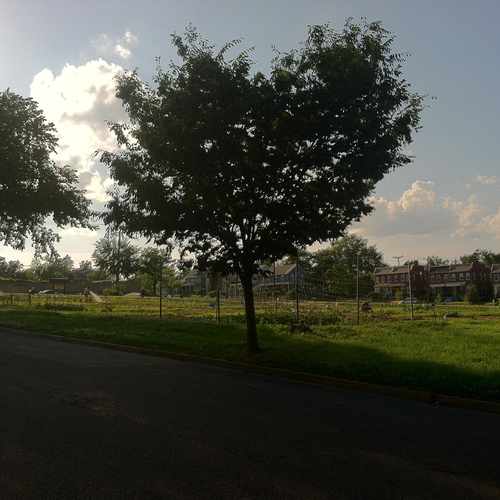 photo of Manor Park Community Garden at 899 Peabody Street Northwest Washington DC 20011