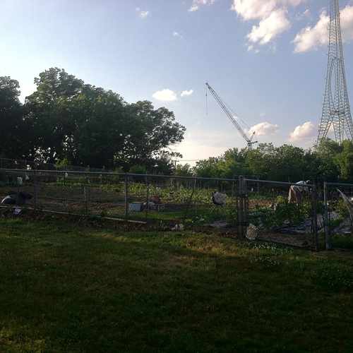 photo of Community Garden near Emery Park at 911 Missouri Avenue Northwest Washington DC 20011