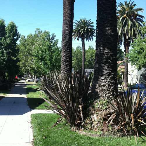 photo of Downtown's Kitchen BBQ vs Vegan at 2333 S Street Sacramento CA 95816