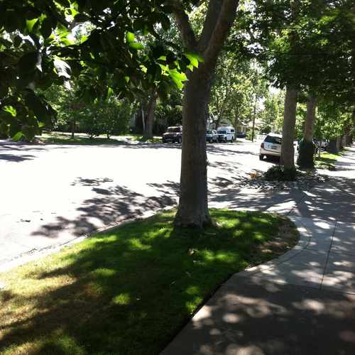 photo of Ella K. Mcclatchy Library at 2112 22nd Street Sacramento CA 95818