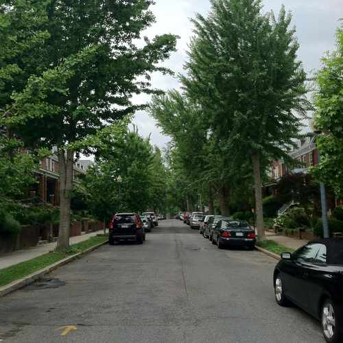photo of Tree-Line Neighborhood Scene at 2339 40th Street Northwest Washington DC 20007