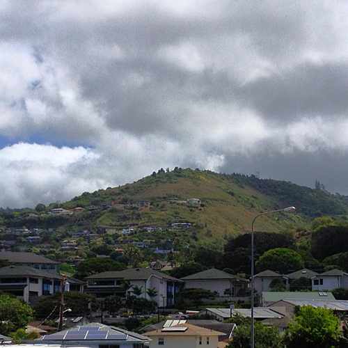 photo of Near McCully & Dole St at 1417 McCully Street Honolulu HI 96822