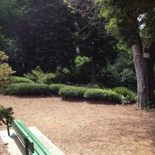 photo of Allyne Park at 2550 Gough Street San Francisco CA 94123