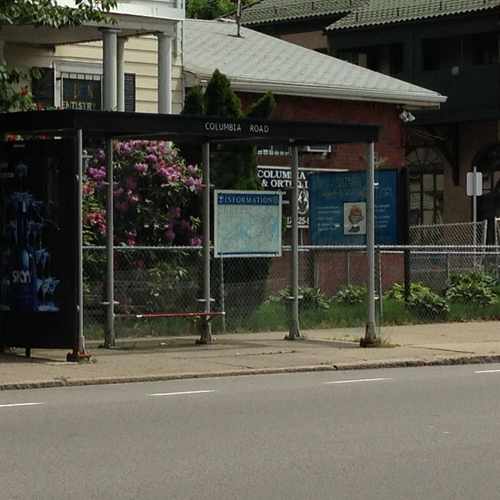 photo of Bus Stop at 620 Columbia Road Boston MA 02125