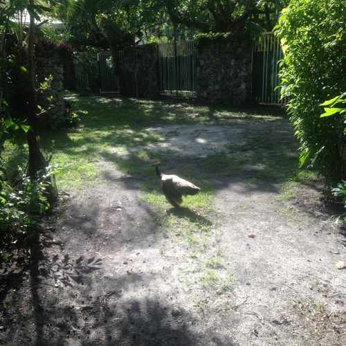 photo of S BAYSHORE DR@CRYSTAL VIEW CT at 1889 South Bayshore Drive Miami FL 33133