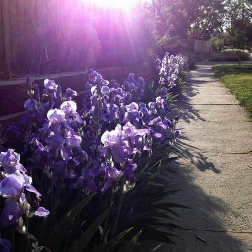 photo of Near N Speer Blvd & Grove St at 3164 North Speer Boulevard Denver CO 80211