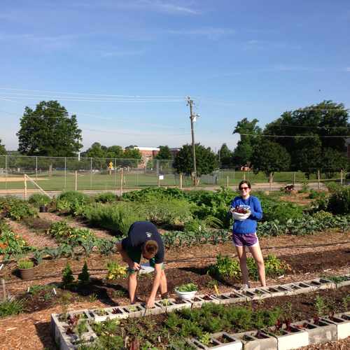 photo of Raleigh City Farm at 730 N Blount St Raleigh NC 27604