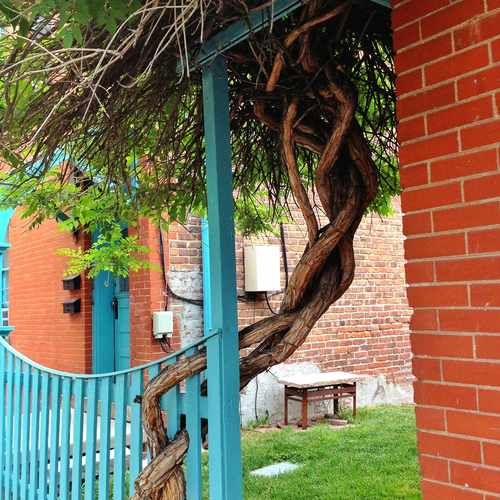 photo of Near S Pearl St & E Iowa Ave at 1619 South Pearl Street Denver CO 80210