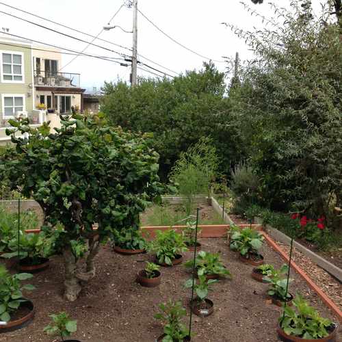 photo of Clipper Terrace Community Garden at 855 Clipper Terrace San Francisco CA 94114