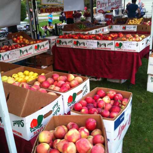photo of Wallingford Farmer's Market at 4534 Bagley Avenue North Seattle WA 98103