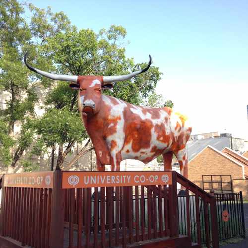 photo of University Co-Op at 2246 Guadalupe St Austin TX 78712