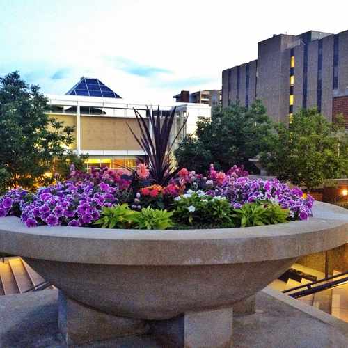 photo of Daniels Fund at 101 Monroe Street Denver CO 80206