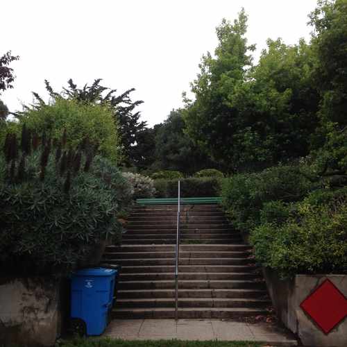 photo of Mountain Lake Park at 98 Funston Avenue San Francisco CA 94118