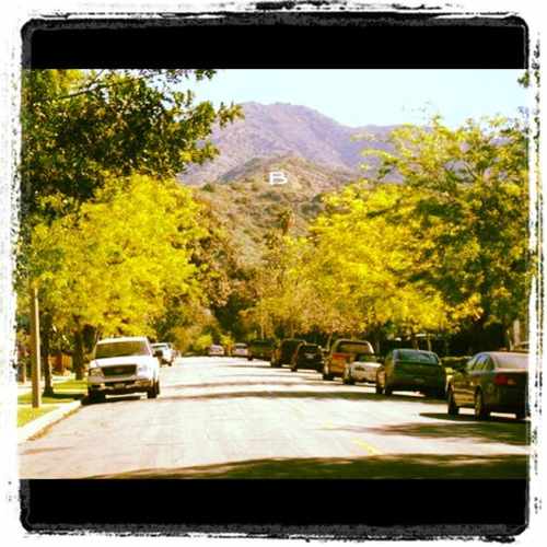 photo of Burbank Hills at 818 East Harvard Road Burbank CA 91501