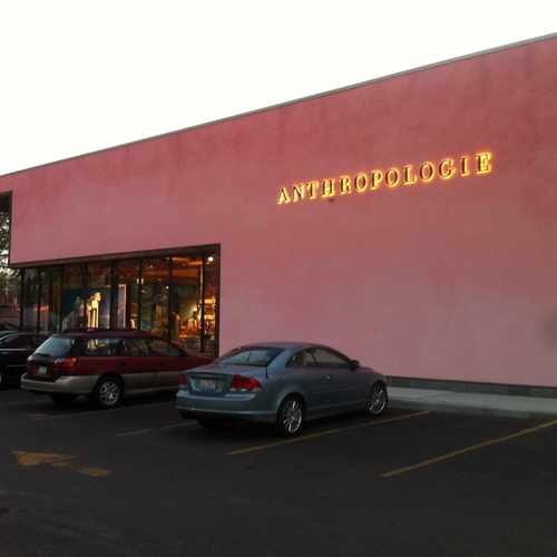 photo of Anthropologie at 1561 N Fremont St Chicago IL 60642