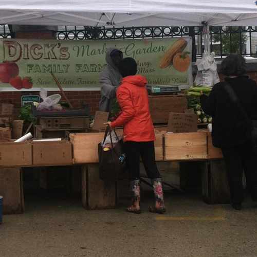 photo of The Davis Flea at Alewife Linear Park/Somerville Community Path Somerville MA 02144