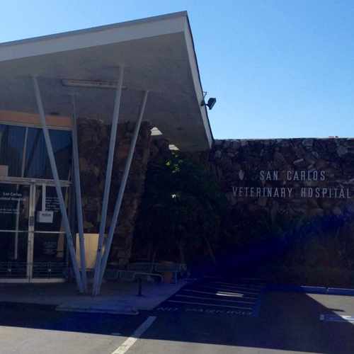 photo of San Carlos Veterinary Clinic at 6511 Bisby Lake Ave San Diego CA 92119
