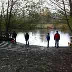Photo of Marymoor Off-leash Dog Park in Southeast Redmond, Redmond