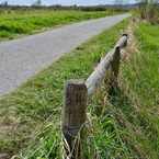 Photo of Colony Farm Regional Park in Port Coquitlam
