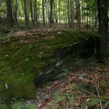 Rental info for TAC Heights Lot 4