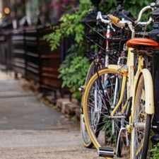 Rental info for Curling Club