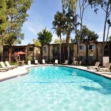 Rental info for Palmilla