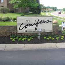 Rental info for Conifers