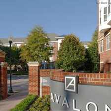 Rental info for Avalon at Grosvenor Station