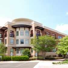 Rental info for Lofts at Lakeview