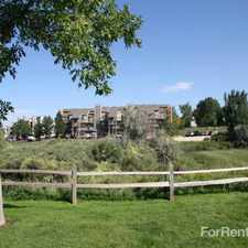 Rental info for Silverbrook