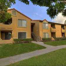 Rental info for The Palms at Laguna Niguel