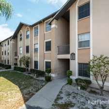 Rental info for Regency Palms Apartments
