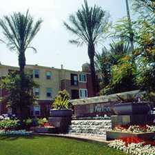 Rental info for Avion at Spectrum