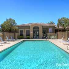 Rental info for Olive Grove