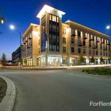 Rental info for Mosaic at Mueller