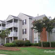 Rental info for Ashley Woods