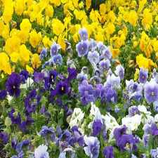 Rental info for Waterford At The Park