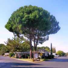 Rental info for Cottonwood Estates