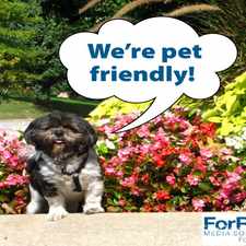 Rental info for The Cedars at Elm Hill