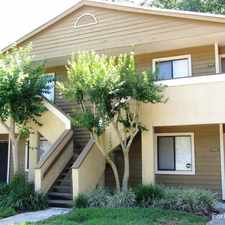 Rental info for Marsh Oaks