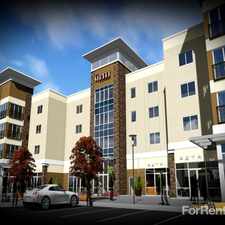 Rental info for The Street At The Meadows
