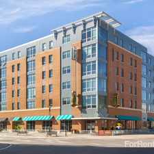 Rental info for Canopy Lofts