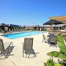 Rental info for Lakeshore on the Hill Apartments