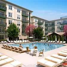 Rental info for Revival on Main