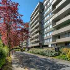 Rental info for North and Austin: 9502 Erikson Drive, 2BR