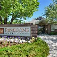 Rental info for Pinecone